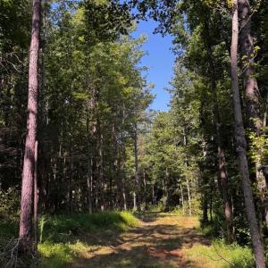 Photo #13 of 608 Old Shore RD, Blackstone, VA 23.2 acres