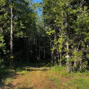 Photo #14 of 608 Old Shore RD, Blackstone, VA 23.2 acres