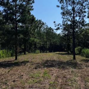 Photo #8 of 608 Old Shore RD, Blackstone, VA 23.2 acres
