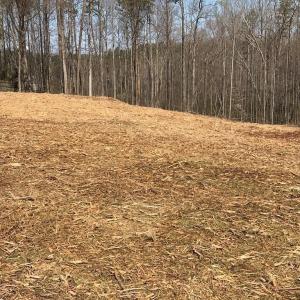 Photo #5 of Milnwood, Farmville, VA 1.4 acres