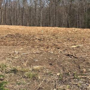 Photo #6 of Milnwood, Farmville, VA 1.4 acres