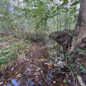 Photo #10 of Mountain Ridge Lane, Shipman, VA 9.3 acres