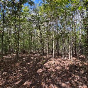 Photo #5 of Mountain Ridge Lane, Shipman, VA 9.3 acres