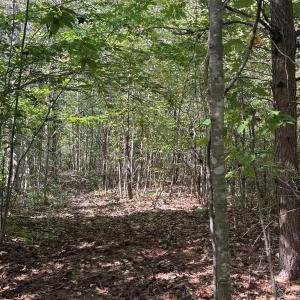 Photo #7 of Mountain Ridge Lane, Shipman, VA 9.3 acres