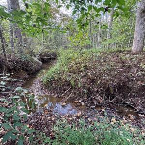 Photo #9 of Mountain Ridge Lane, Shipman, VA 9.3 acres