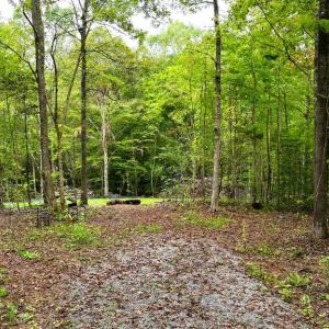 Photo #2 of 7 Walkers Lane, Chase City, VA 10.0 acres