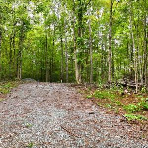 Photo #3 of 7 Walkers Lane, Chase City, VA 10.0 acres