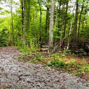 Photo #4 of 7 Walkers Lane, Chase City, VA 10.0 acres