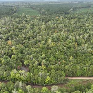 Photo #8 of 7 Walkers Lane, Chase City, VA 10.0 acres