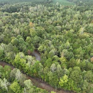 Photo #9 of 7 Walkers Lane, Chase City, VA 10.0 acres