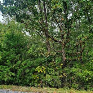 Photo #4 of Wildflower Lane, Dillwyn, VA 10.2 acres