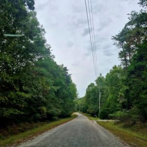 Photo #5 of Wildflower Lane, Dillwyn, VA 10.2 acres