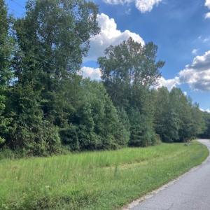 Photo #13 of 634 Liberty Rd., Alberta, VA 3.7 acres