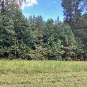 Photo #14 of 634 Liberty Rd., Alberta, VA 3.7 acres