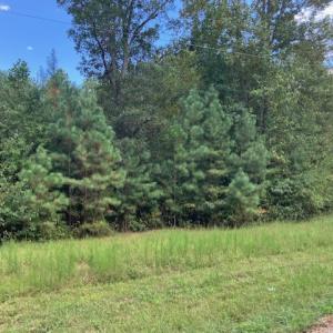 Photo #7 of 634 Liberty Rd., Alberta, VA 3.7 acres