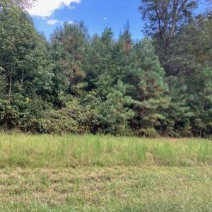 Photo #8 of 634 Liberty Rd., Alberta, VA 3.7 acres