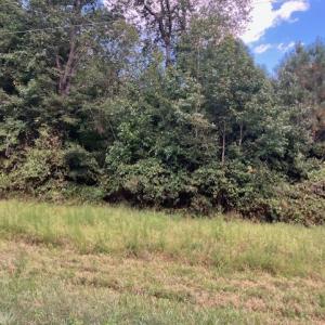 Photo #9 of 634 Liberty Rd., Alberta, VA 3.7 acres