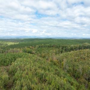 Photo #11 of Meadow Creek Rd, Wingina, VA 37.8 acres