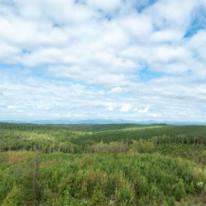 Photo #12 of Meadow Creek Rd, Wingina, VA 37.8 acres