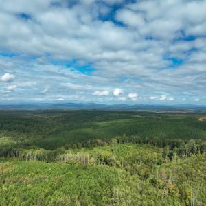 Photo #15 of Meadow Creek Rd, Wingina, VA 37.8 acres