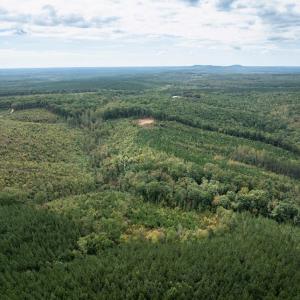 Photo #5 of Meadow Creek Rd, Wingina, VA 37.8 acres