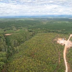 Photo #8 of Meadow Creek Rd, Wingina, VA 37.8 acres