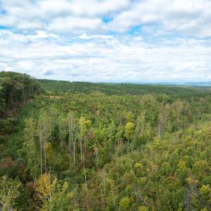 Photo #9 of Meadow Creek Rd, Wingina, VA 37.8 acres