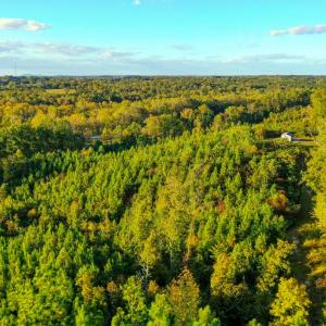 Photo #10 of Old Ridge Rd, Farmville, VA 18.0 acres