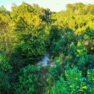 Photo #12 of Old Ridge Rd, Farmville, VA 18.0 acres