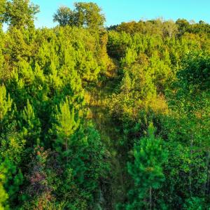 Photo #13 of Old Ridge Rd, Farmville, VA 18.0 acres