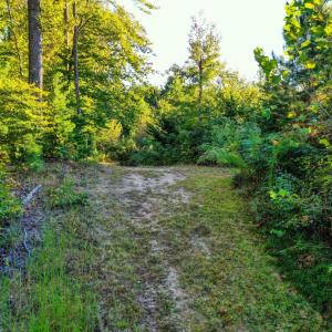 Photo #18 of Old Ridge Rd, Farmville, VA 18.0 acres