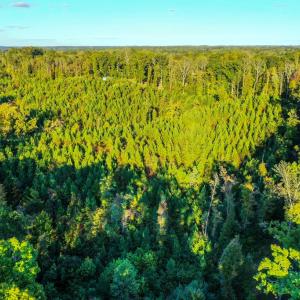 Photo #11 of Old Ridge Rd, Farmville, VA 18.0 acres