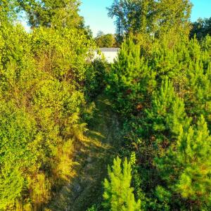 Photo #14 of Old Ridge Rd, Farmville, VA 18.0 acres