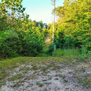 Photo #19 of Old Ridge Rd, Farmville, VA 18.0 acres