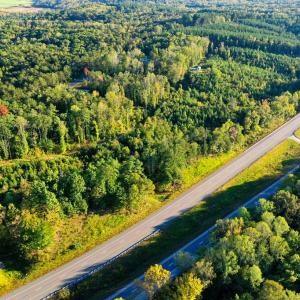 Photo #4 of Old Ridge Rd, Farmville, VA 18.0 acres