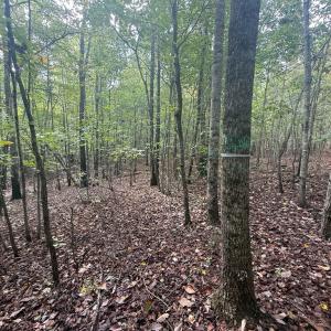 Photo #11 of Westpoint Stevens Rd, Drakes Branch, VA 13.5 acres