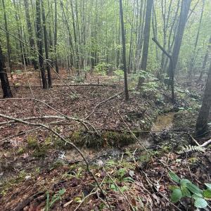 Photo #7 of Westpoint Stevens Rd, Drakes Branch, VA 13.5 acres