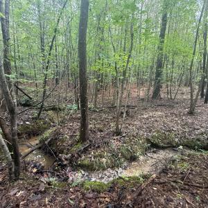 Photo #9 of Westpoint Stevens Rd, Drakes Branch, VA 13.5 acres