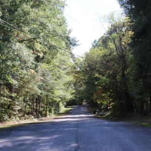 Photo #9 of Buffaloe Lane, Farmville, VA 20.2 acres