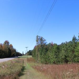 Photo #3 of 15 Farmville Road, Meherrin, VA 4.4 acres