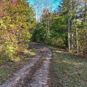 Photo #2 of Allen Rosen Rd, Dillwyn, VA 38.8 acres