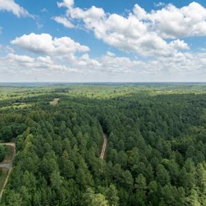 Photo #4 of Gully Tavern Lane, Rice, VA 30.0 acres