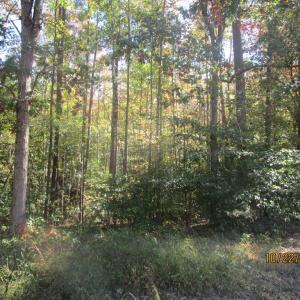 Photo #3 of 709 Pleasant Oak, Victoria, VA 38.8 acres