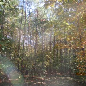 Photo #6 of 709 Pleasant Oak, Victoria, VA 38.8 acres