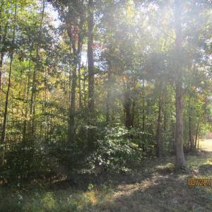 Photo #2 of 709 Pleasant Oak, Victoria, VA 38.8 acres