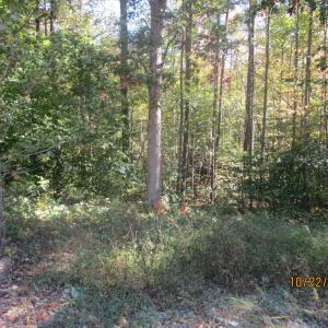 Photo #4 of 709 Pleasant Oak, Victoria, VA 38.8 acres