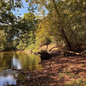 Photo #10 of Coleman Mountain Road, Appomattox, VA 112.8 acres
