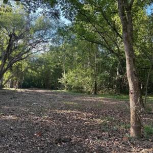 Photo #4 of Coleman Mountain Road, Appomattox, VA 112.8 acres