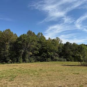 Photo #7 of Coleman Mountain Road, Appomattox, VA 112.8 acres