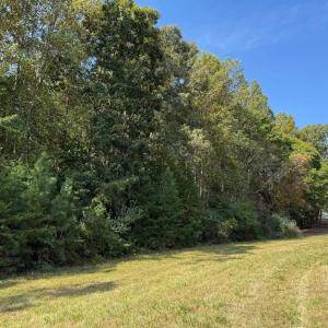 Photo #8 of Coleman Mountain Road, Appomattox, VA 112.8 acres